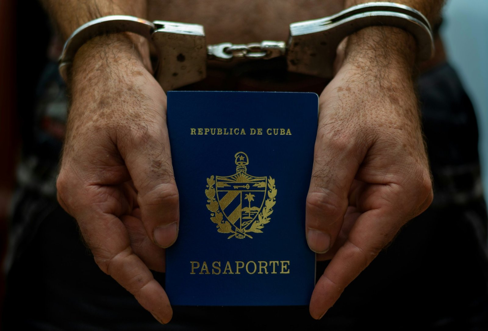 a person holding a passport in their hands